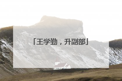 王学勤，升副部