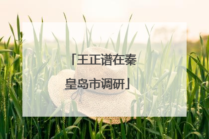 王正谱在秦皇岛市调研