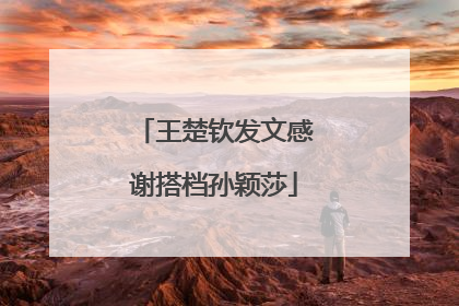 王楚钦发文感谢搭档孙颖莎