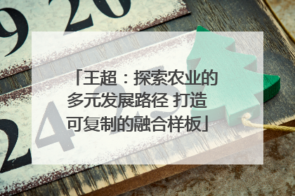 王超：探索农业的多元发展路径 打造可复制的融合样板