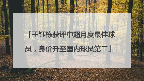 王钰栋获评中超月度最佳球员，身价升至国内球员第二