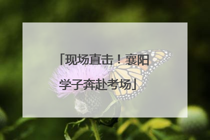 现场直击！襄阳学子奔赴考场