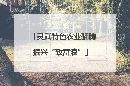 灵武特色农业翻腾振兴“致富浪”