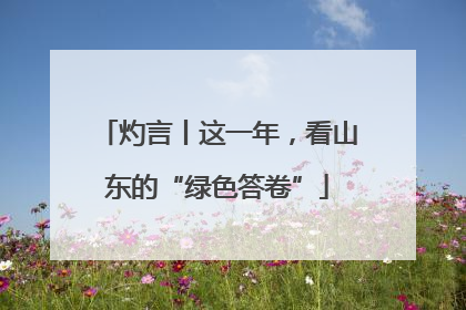 灼言丨这一年，看山东的“绿色答卷”