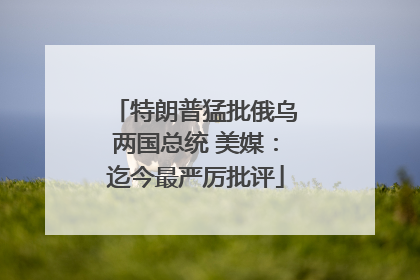 特朗普猛批俄乌两国总统 美媒：迄今最严厉批评