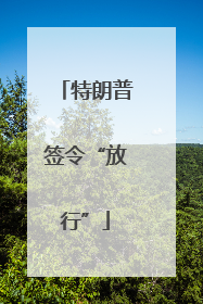 特朗普签令“放行”
