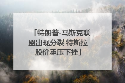 特朗普-马斯克联盟出现分裂 特斯拉股价承压下挫
