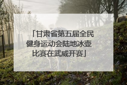 甘肃省第五届全民健身运动会陆地冰壶比赛在武威开赛
