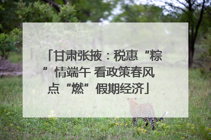 甘肃张掖：税惠“粽”情端午 看政策春风点“燃”假期经济