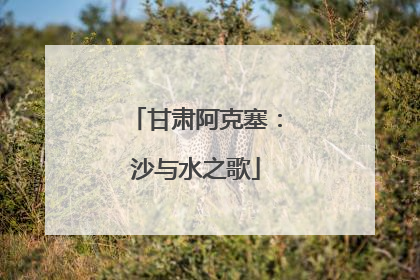 甘肃阿克塞：沙与水之歌