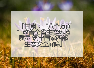 甘肃：“八个方面”改善全省生态环境质量 筑牢国家西部生态安全屏障