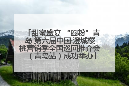 甜蜜盛宴 “圈粉”青岛 第六届中国·澄城樱桃营销季全国巡回推介会（青岛站）成功举办