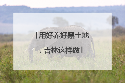 用好养好黑土地，吉林这样做