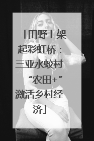 田野上架起彩虹桥：三亚水蛟村“农田+”激活乡村经济