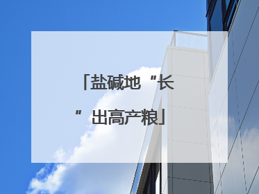 盐碱地“长”出高产粮