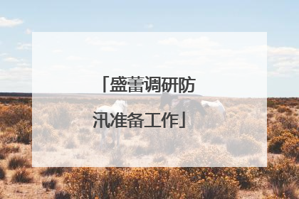盛蕾调研防汛准备工作