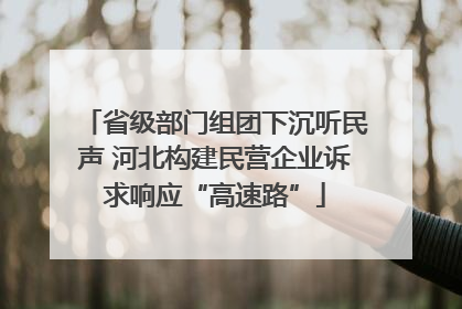 省级部门组团下沉听民声 河北构建民营企业诉求响应“高速路”