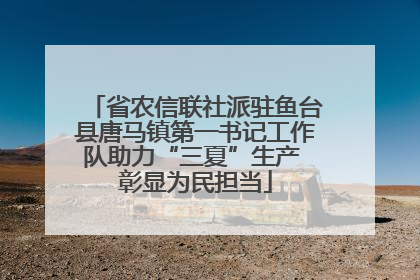 省农信联社派驻鱼台县唐马镇第一书记工作队助力“三夏”生产 彰显为民担当