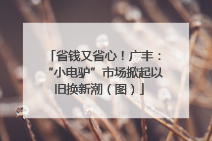 省钱又省心！广丰：“小电驴”市场掀起以旧换新潮（图）