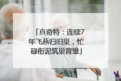 真奇特：连续7年飞燕归旧巢，忙碌衔泥筑巢育雏