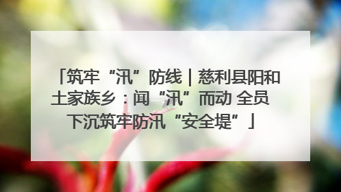 筑牢“汛”防线｜慈利县阳和土家族乡：闻“汛”而动 全员下沉筑牢防汛“安全堤”