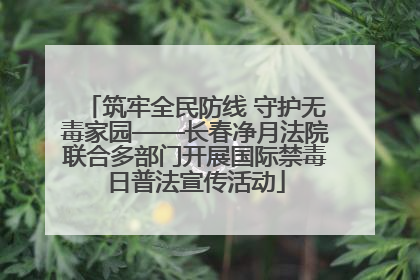 筑牢全民防线 守护无毒家园——长春净月法院联合多部门开展国际禁毒日普法宣传活动