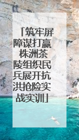 筑牢屏障谋打赢 株洲茶陵组织民兵展开抗洪抢险实战实训