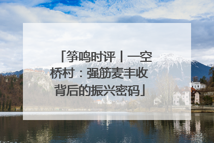 筝鸣时评丨一空桥村：强筋麦丰收背后的振兴密码