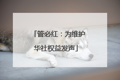 管必红：为维护华社权益发声