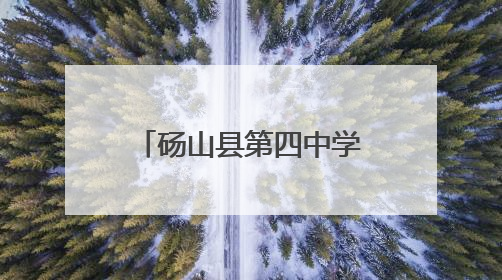 砀山县第四中学：弘扬爱国精神，深耕民法典宣传