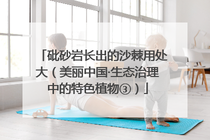 砒砂岩长出的沙棘用处大（美丽中国·生态治理中的特色植物③）