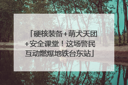 硬核装备+萌犬天团+安全课堂！这场警民互动燃爆地铁台东站