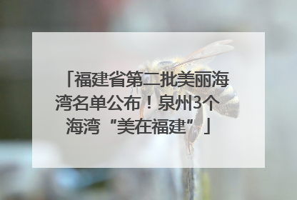 福建省第二批美丽海湾名单公布！泉州3个海湾“美在福建”