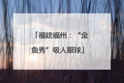 福建福州：“金鱼秀”吸人眼球