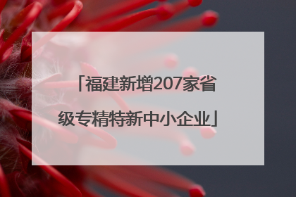 福建新增207家省级专精特新中小企业
