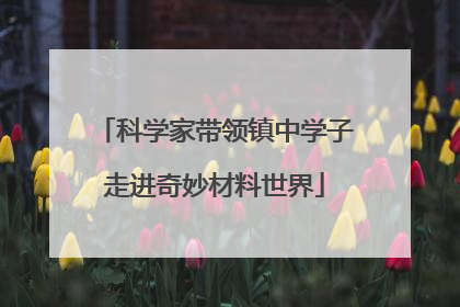 科学家带领镇中学子走进奇妙材料世界