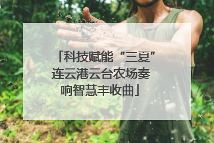 科技赋能“三夏” 连云港云台农场奏响智慧丰收曲