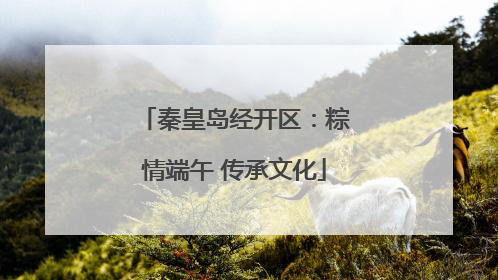 秦皇岛经开区：粽情端午 传承文化
