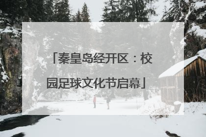 秦皇岛经开区：校园足球文化节启幕