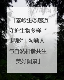 秦岭生态廊道守护生物多样“精彩” 勾勒人与自然和谐共生美好图景