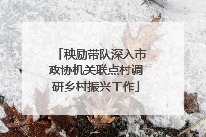 秧励带队深入市政协机关联点村调研乡村振兴工作