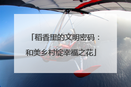 稻香里的文明密码：和美乡村绽幸福之花