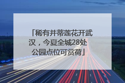 稀有并蒂莲花开武汉，今夏全城28处公园点位可赏荷