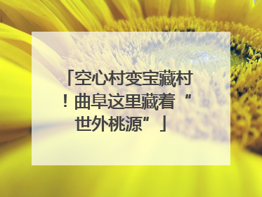 空心村变宝藏村！曲阜这里藏着“世外桃源”