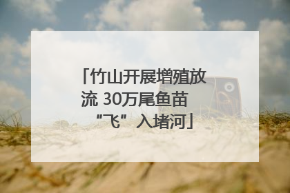 竹山开展增殖放流 30万尾鱼苗“飞”入堵河