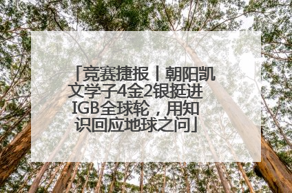 竞赛捷报丨朝阳凯文学子4金2银挺进IGB全球轮，用知识回应地球之问