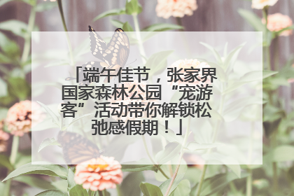 端午佳节，张家界国家森林公园“宠游客”活动带你解锁松弛感假期！