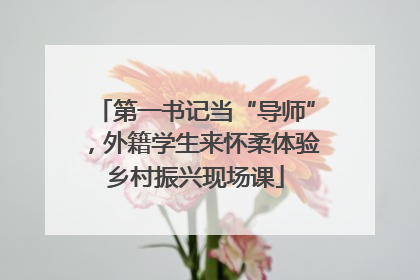 第一书记当“导师”，外籍学生来怀柔体验乡村振兴现场课