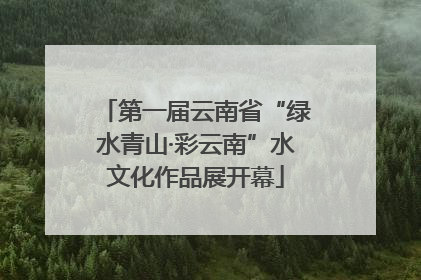 第一届云南省“绿水青山·彩云南”水文化作品展开幕