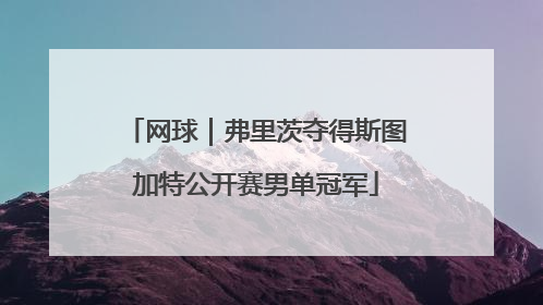 网球｜弗里茨夺得斯图加特公开赛男单冠军